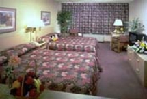 Holiday Inn Suites Anaheim Room